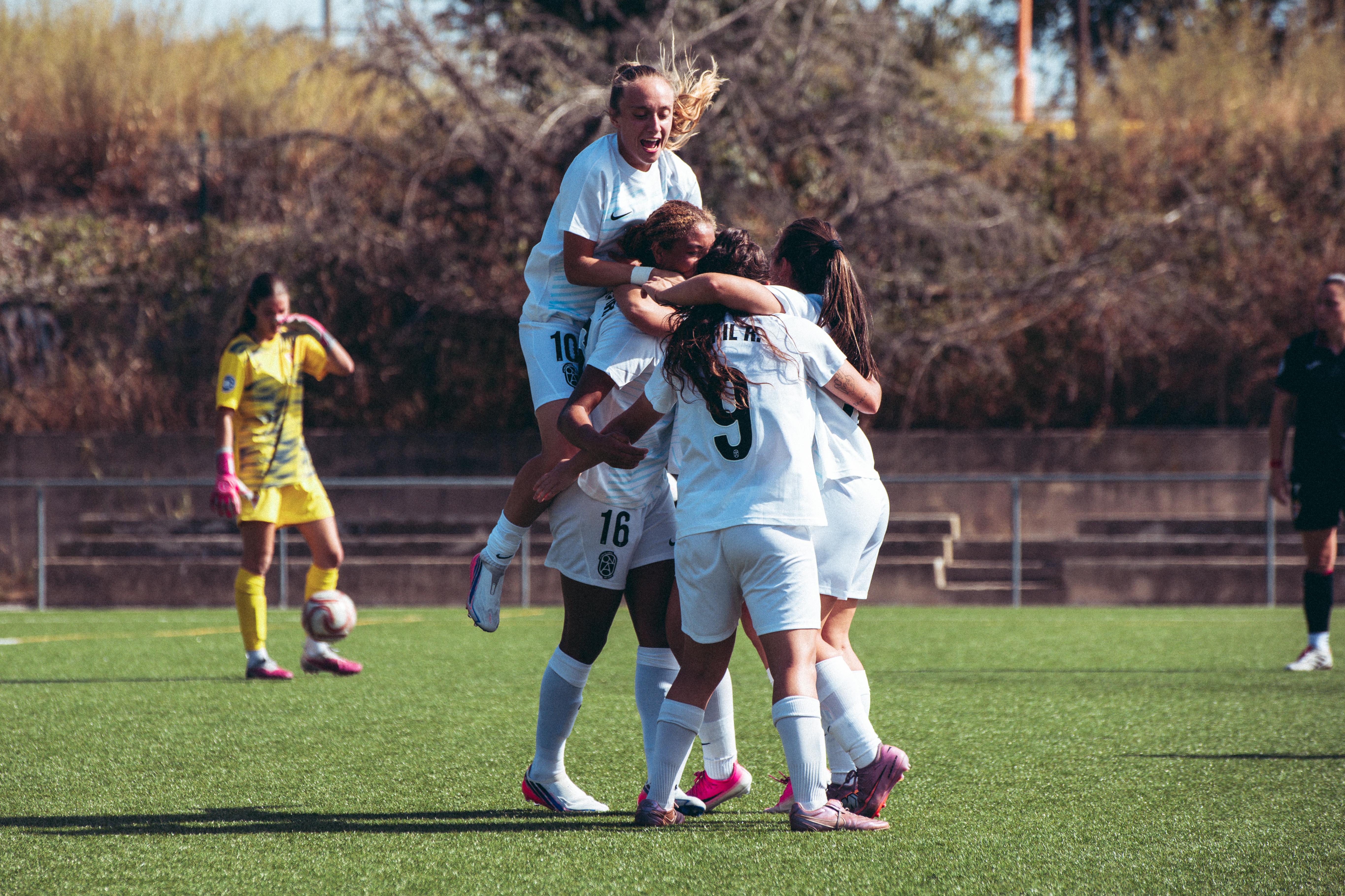 Fotografía titulada «Los primeros tres puntos».